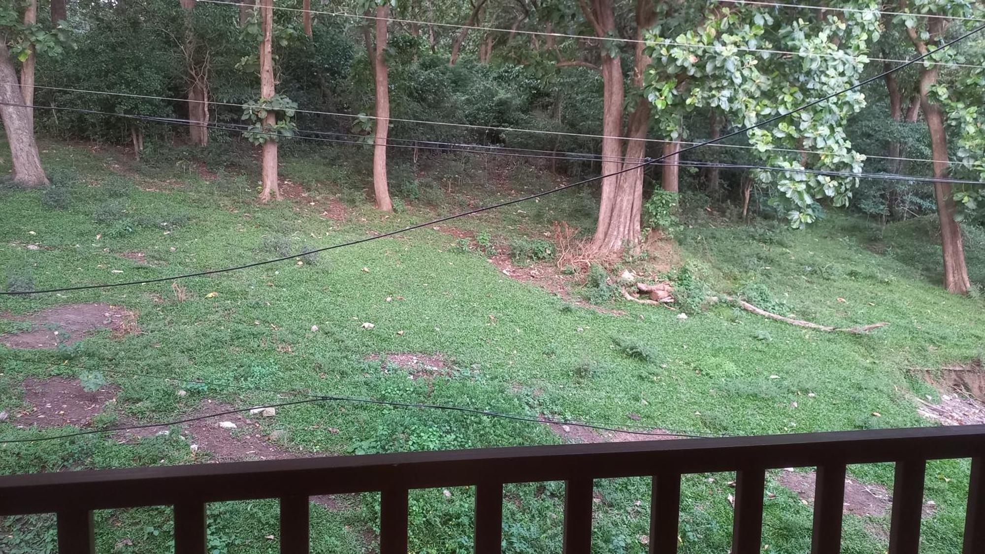Wild Window - Forest View Homestay Thekkady Ngoại thất bức ảnh