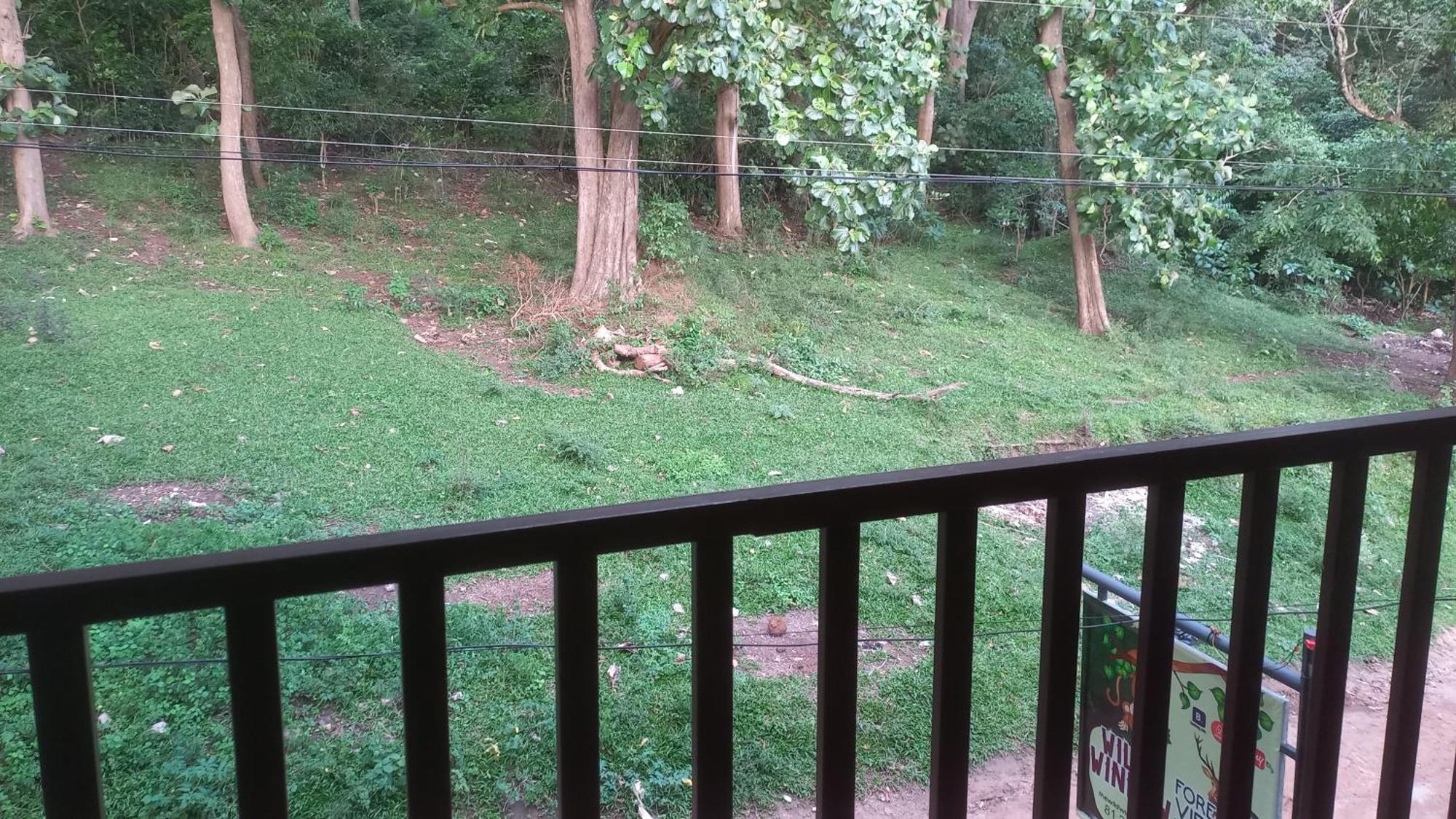 Wild Window - Forest View Homestay Thekkady Ngoại thất bức ảnh