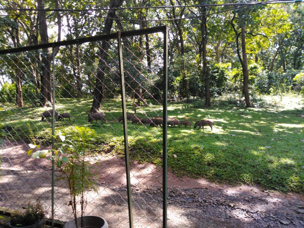 Wild Window - Forest View Homestay Thekkady Ngoại thất bức ảnh