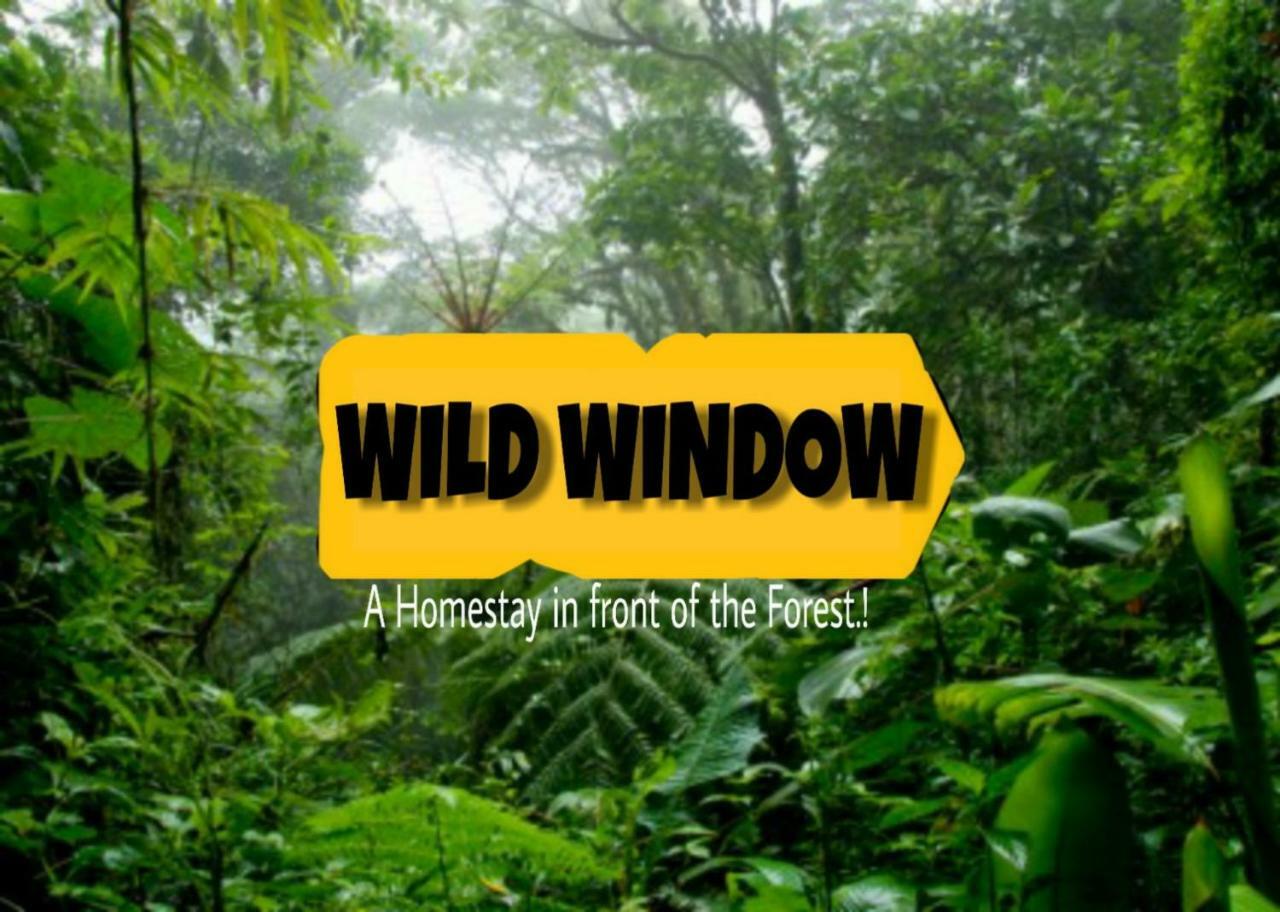 Wild Window - Forest View Homestay Thekkady Ngoại thất bức ảnh