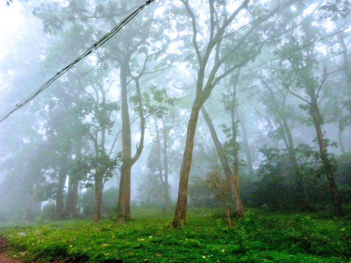 Wild Window - Forest View Homestay Thekkady Ngoại thất bức ảnh
